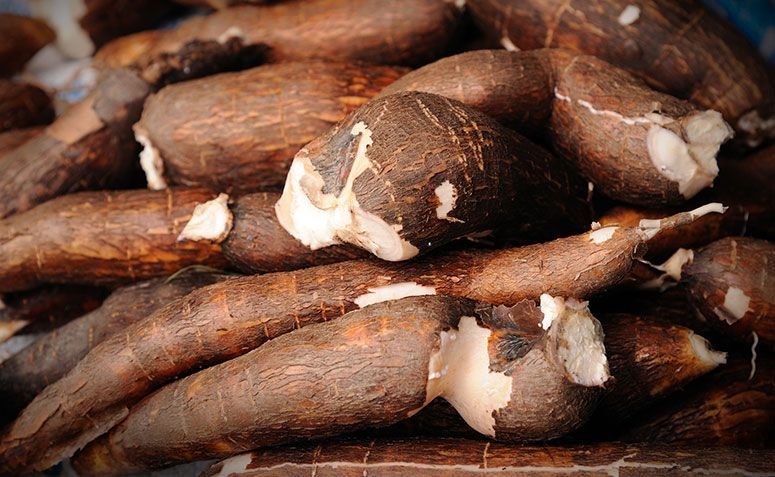 34 increíbles recetas con mandioca y los beneficios de consumir esta raíz
