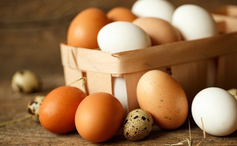 Huevo marrón o huevo blanco: ¿cuál es la diferencia y cuál es mejor?
